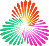 ȫ�˻�Ů���ʸ��� B��-�㽭67.87����20250811